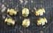 0340-B Alemite Brass 6 piece kit
