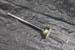 3517-25 Hand Plunger 1926-36 All